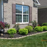 July Yard of the Month  Congratulations to Mark and Peggy Carson